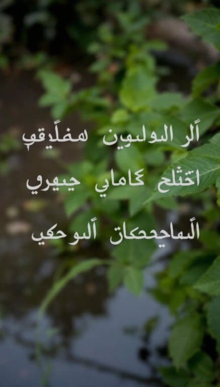 صفحة حقائب للبيع